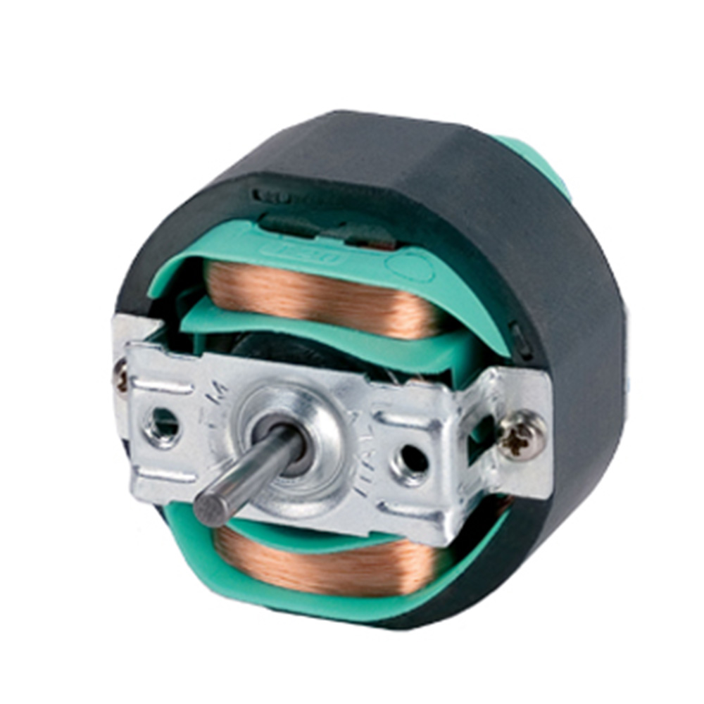 motore ad induzione &Oslash; 52